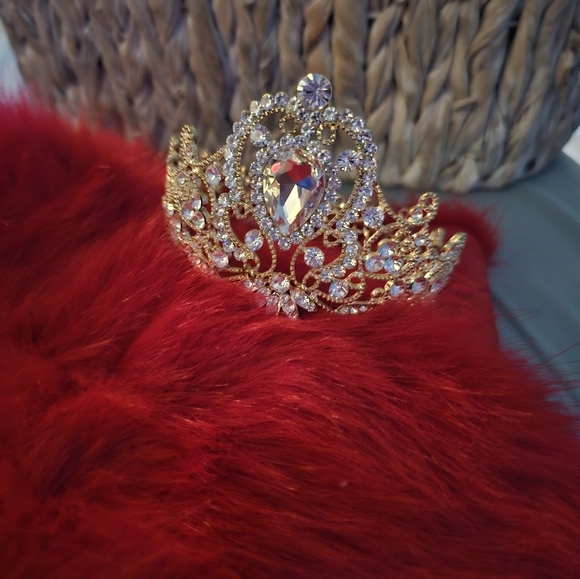 Tiara - Picture 4 of 6